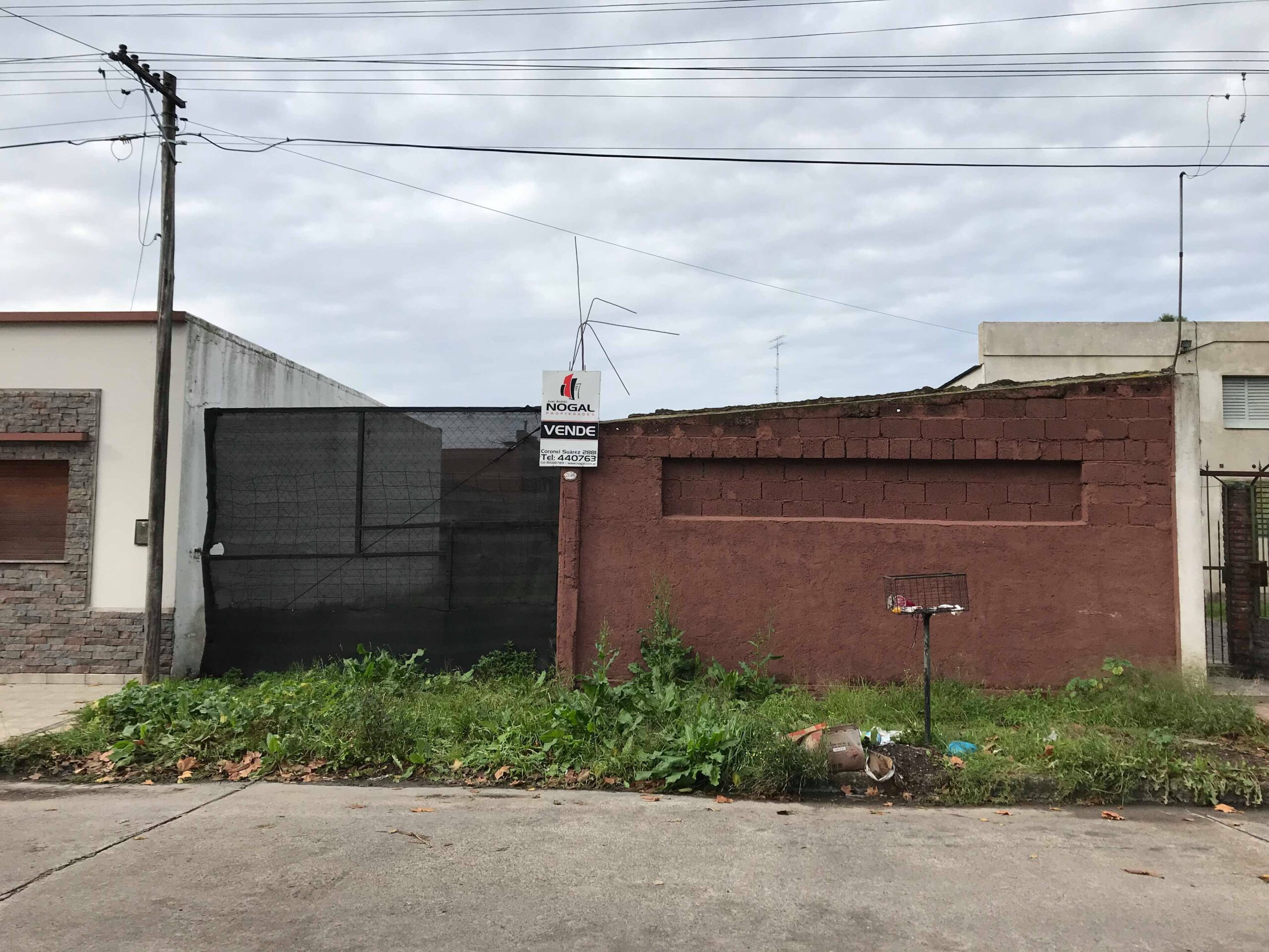 Ex-vera4